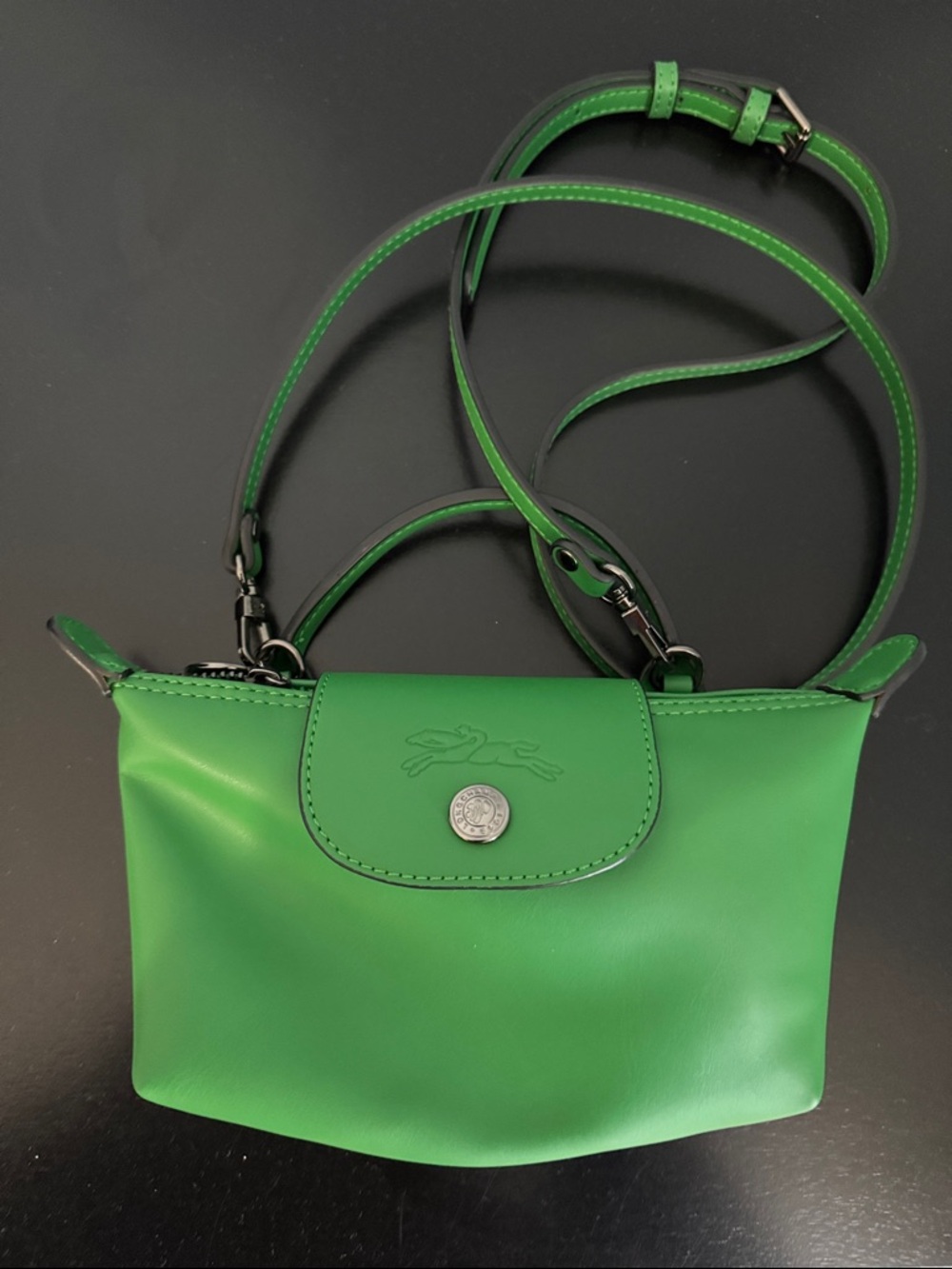 Longchamp Le Pliage Xtra XS Pouch